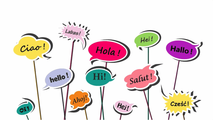 Odoo • Texte et Image