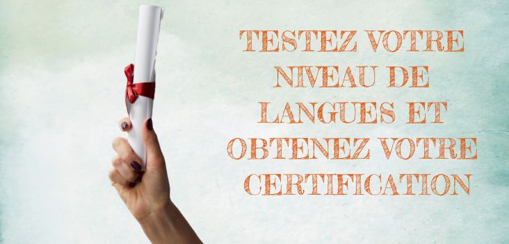 Odoo • Texte et Image